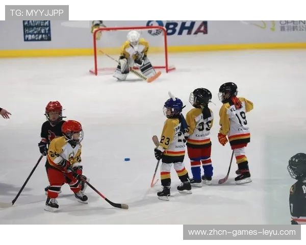 冰球战术演变让比赛更具观赏性